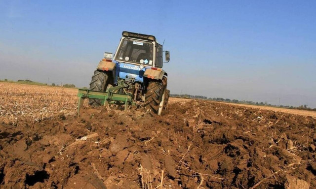 Πάτρα - Απίστευτο: Δείτε τι φόρεσε αντί για μάσκα ένας αγρότης (pics)