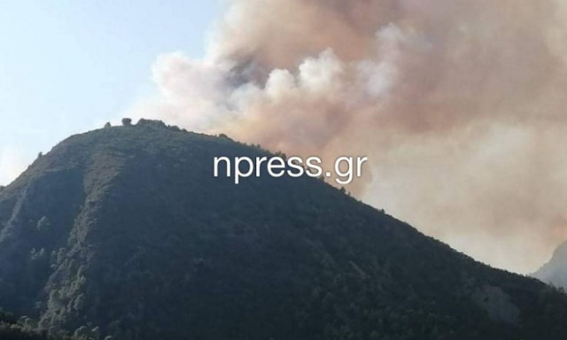 Φωτιά ΤΩΡΑ κοντά στη Ναύπακτο (video)