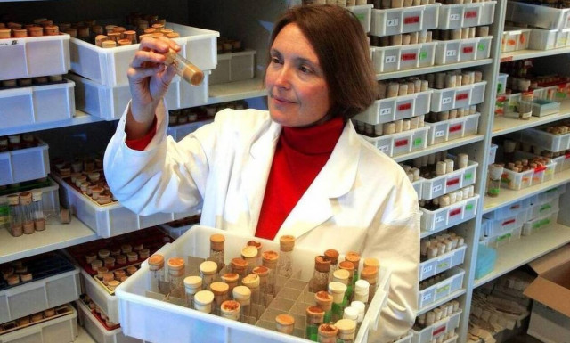 Δολοφονία Σούζαν Ίτον: Αλλάζει τον ισχυρισμό του για τον βιασμό ο δράστης