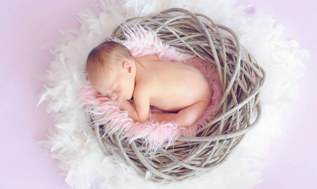 Μέθοδος Shettles & Μέθοδος Whelan - Βοηθούν στη σύλληψη κοριτσιού;