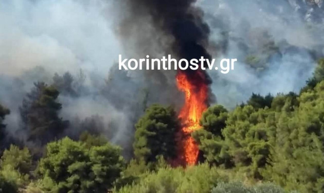 Φωτιά ΤΩΡΑ στην Κόρινθο