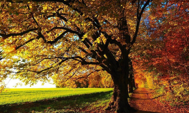 Καιρός: Τι καιρό θα κάνει μέχρι το Δεκέμβριο; Όλοι οι προγνωστικοί χάρτες