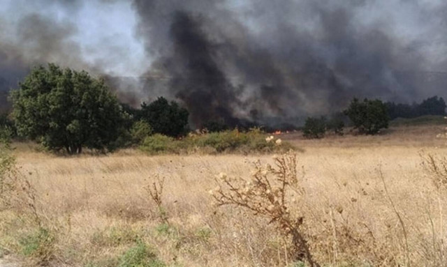 Φωτιά ΤΩΡΑ στην Αλεξανδρούπολη