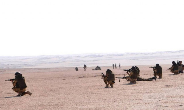 Αίγυπτος: 77 φερόμενοι ως τζιχαντιστές σκοτώθηκαν τις τελευταίες εβδομάδες