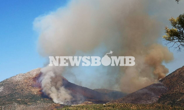 Φωτιά ΤΩΡΑ: Πύρινος εφιάλτης στις Μυκήνες - Εκκενώθηκε ο αρχαιολογικός χώρος (pics&vids)