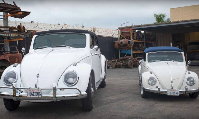 Αυτός ο Σκαραβαίος είναι 40% πιο μεγάλος από τον κανονικό!