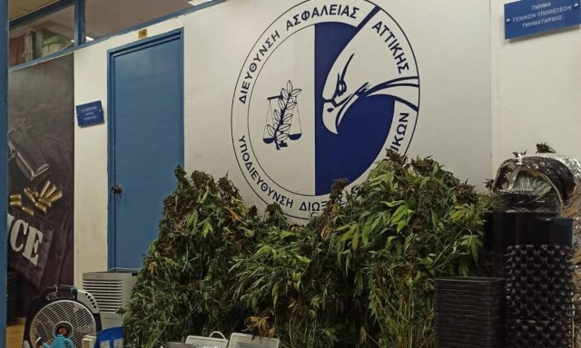 Εξάρθρωση κυκλώματος που «έσπρωχνε» κοκαΐνη και κάνναβη σε Μύκονο και Αθήνα