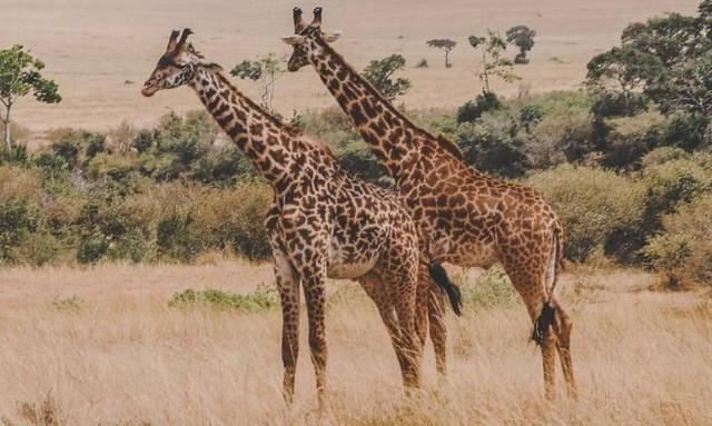 Σε αυτές τις πέντε χώρες της Αφρικής αξίζει να ταξιδέψουμε