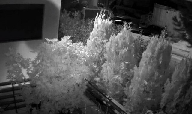 Δίκη Μακρή: Ηχητικό ντοκουμέντο από τη στιγμή της δολοφονίας - Οι πυροβολισμοί και τα ουρλιαχτά