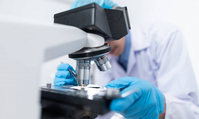 Τα κατεψυγμένα ή τα φρέσκα έμβρυα έχουν καλύτερο αποτέλεσμα στην εξωσωματική;