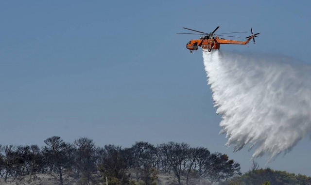 Φωτιά ΤΩΡΑ στην Ηλεία	