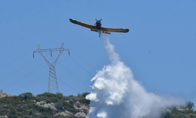 Φωτιά ΤΩΡΑ στην Ηλεία