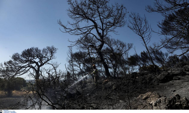 Φωτιά: Προσοχή! Σε αυτές τις περιοχές είναι υψηλός ο κίνδυνος πυρκαγιά την Παρασκευή