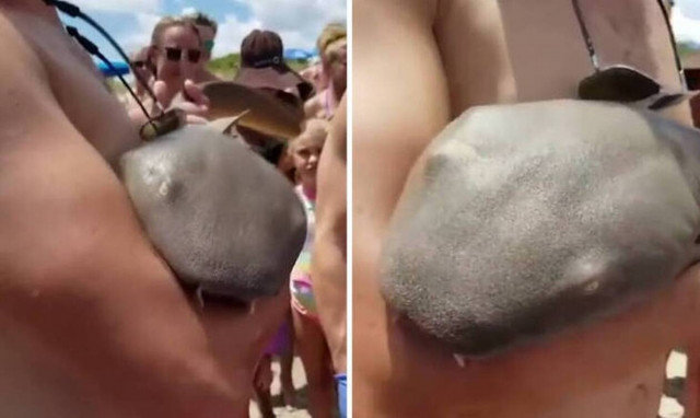 Απίστευτο video: Καρχαρίας άρπαξε το χέρι κολυμβητή και δεν το άφηνε