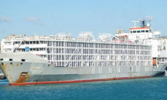 Τυφώνας Μαϊσάκ: Χάθηκε πλοίο με 43 άτομα πλήρωμα και χιλιάδες ζώα φορτίο