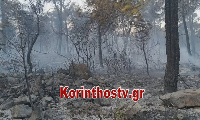 Κορινθία: Εμπρησμό εξετάζουν οι Αρχές - Χωρίς ενεργό μέτωπο η φωτιά (pics&vid)