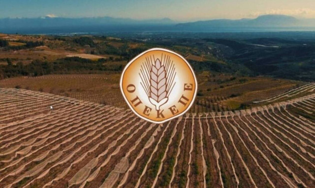 ΟΠΕΚΕΠΕ: Πληρώνει 2,2 εκατ. ευρώ - Ποιοι είναι οι δικαιούχοι αγρότες