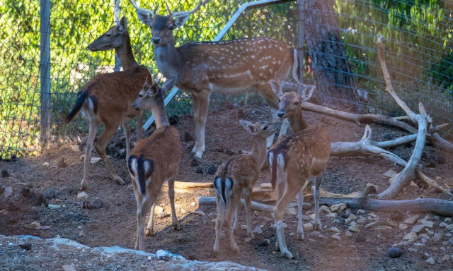Θεσσαλονίκη: Άνοιξε τις πύλες του ο ζωολογικός κήπος (pics)