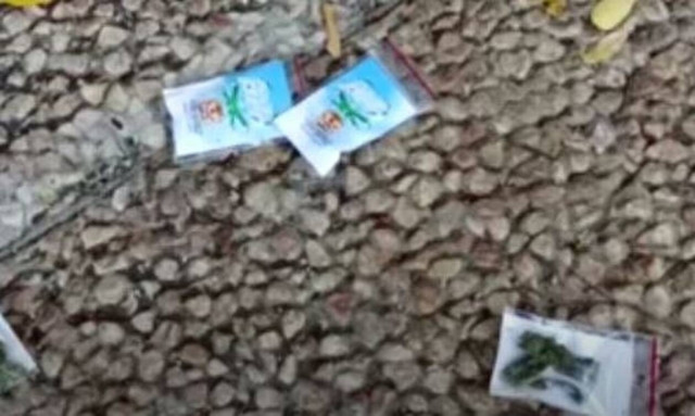 Τελ Αβίβ: Χαμός σε κεντρική πλατεία - «Έβρεξε» κάνναβη (vid)