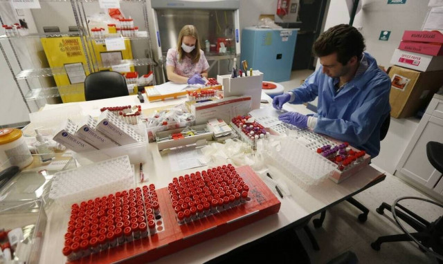 Κορονοϊός: Νέα θεραπεία βασισμένη σε αντισώματα αλόγου – Θα χορηγείται με ένεση