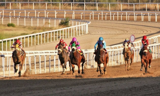 Δέκα νικητές στο ΣΚΟΡ 6 των ελληνικών ιπποδρομιών