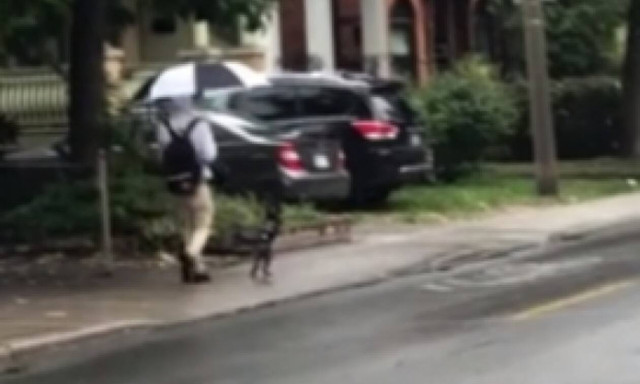 Βγήκε βόλτα με το σκύλο του και χάζεψε όλη η γειτονιά! (vid)