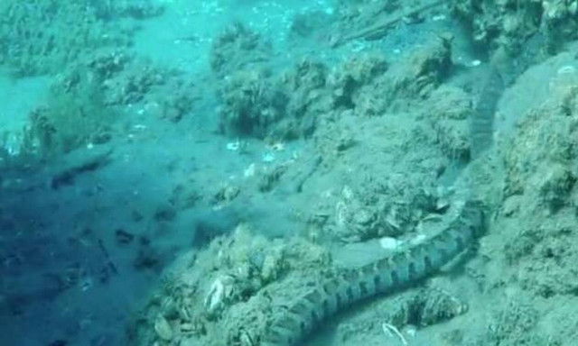 Βούτηξαν στα 30 μέτρα βάθος και έπεσαν πάνω σε… AYTO! (video)