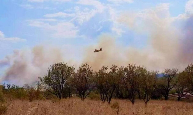 Φωτιά ΤΩΡΑ στην Αλεξανδρούπολη