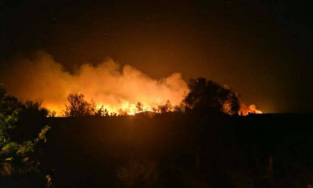 Πύρινη κόλαση στον Έβρο: Μαίνεται μέτωπο πέντε χιλιομέτρων - Εφιαλτική νύχτα για τους κατοίκους