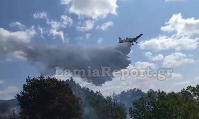 Φωτιά στη Λαμία - Άμεση η επέμβαση της Πυροσβεστικής (pics&vid)