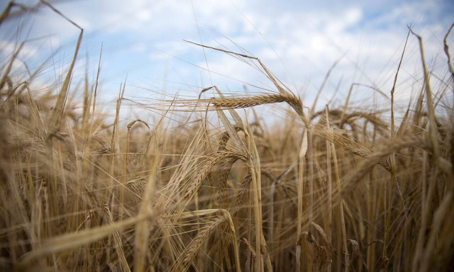 ΟΠΕΚΕΠΕ: Οι ημερομηνίες για την προκαταβολή της ενιαίας ενίσχυσης - Δείτε το ΦΕΚ