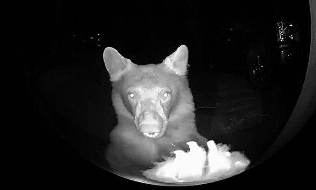 Απίστευτο βίντεο: Κοίταξε από το «ματάκι» της πόρτας και είδε αυτό!