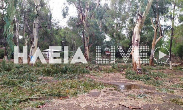 Ηλεία: Ανεμοστρόβιλος έριξε πεύκα - Τραυματίστηκε μια γυναίκα (pics)