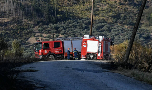 Φωτιά στη Λαυρεωτική: Υπό μερικό έλεγχο η πυρκαγιά στο Βρωμοπούσι
