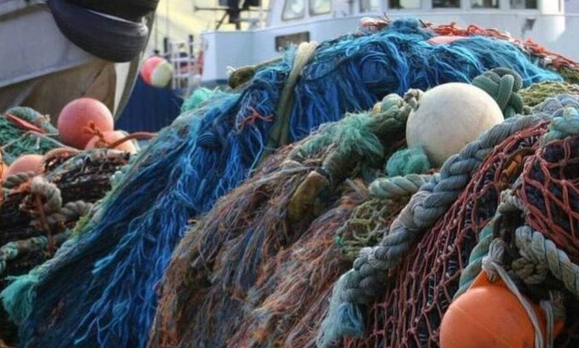 Κρήτη: Μάζεψε τα δίχτυα – Δεν πίστευε στα μάτια μου με αυτό που έβγαλε (vid)