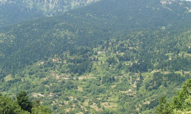 Τρίκαλα: «Ταξίδι» στους μοναδικούς βιοτόπους των προστατευόμενων περιοχών