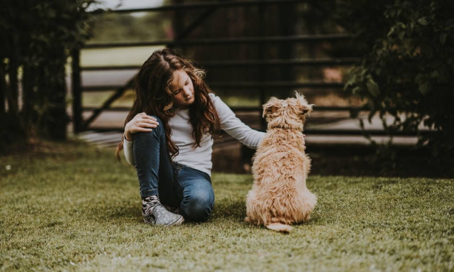 Πότε είναι η κατάλληλη στιγμή για να πάρετε ένα κατοικίδιο