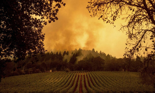 Πύρινη λαίλαπα στην Καλιφόρνια: Τρεις νεκροί στις φλόγες (pics&vid)
