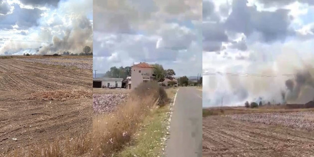 Νέα φωτιά στον Έβρο: Συναγερμός στην Πυροσβεστική - Καίει κοντά σε σπίτια (pics-vid)