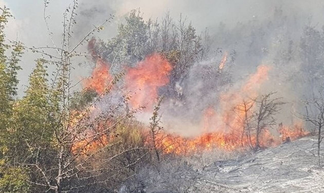 Φωτιά στον Έβρο: Δύο τα ενεργά μέτωπα - Ενισχυμένες οι δυνάμεις της Πυροσβεστικής