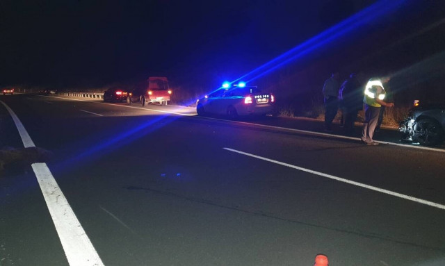 Γρεβενά: Νεκρή αρκούδα σε τροχαίο στην Εγνατία Οδό