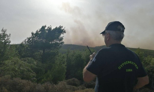 Major wildfire reported at Volimes on Zakynthos