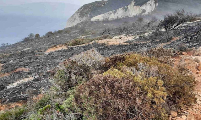 Φωτιά Ζάκυνθος: Κρανίου τόπος η περιοχή πάνω από το «Ναυαγίου» - Συγκλονιστικές εικόνες (pics - vid)