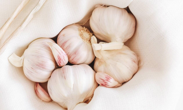 Τα οφέλη του σκόρδου στη διατροφή των παιδιών