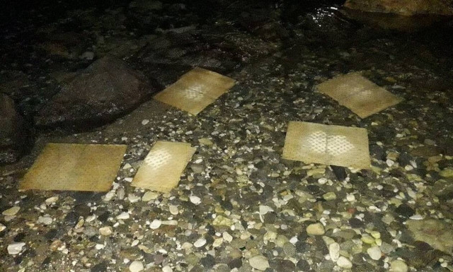 Πάρος: Πετρελαιοκηλίδα και νεκρά ψάρια στον κόλπο της Παροικιάς (pics)