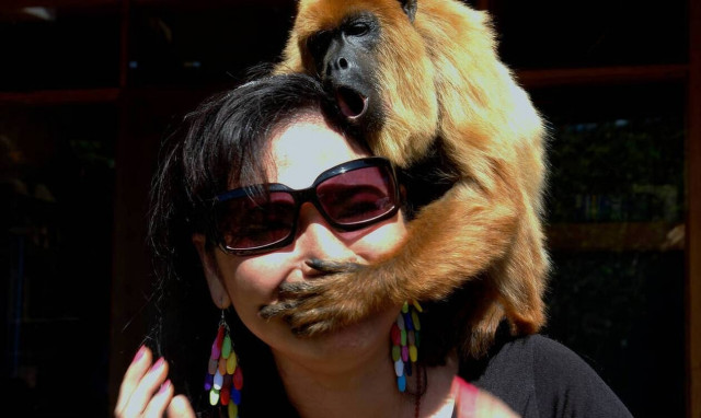 Προσοχή: Άλλαξαν οι ώρες κοινής ησυχίας - Οι απαγορεύσεις 