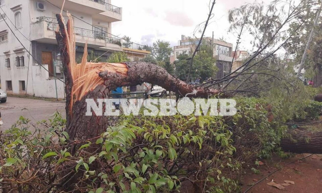 Κακοκαιρία: Απίστευτες εικόνες στο Νέο Ηράκλειο – Έπεσαν δέντρα, καταστράφηκαν οχήματα