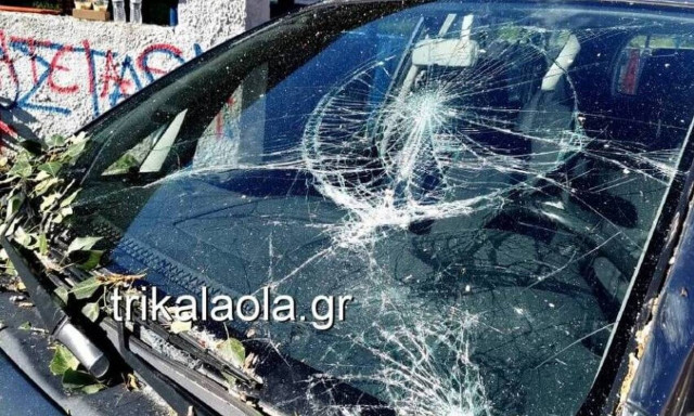 Τρίκαλα: Ξεριζώθηκαν δίδυμα μεγάλα δέντρα και καταπλάκωσαν 3 αυτοκίνητα