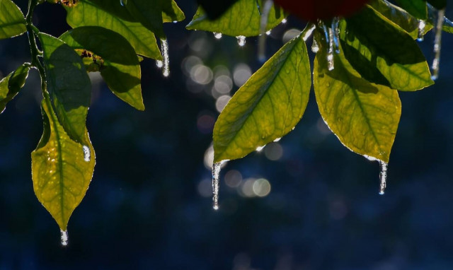 Καιρός: Σε αυτές τις περιοχές έπεσε υπό το μηδέν ο υδράργυρος