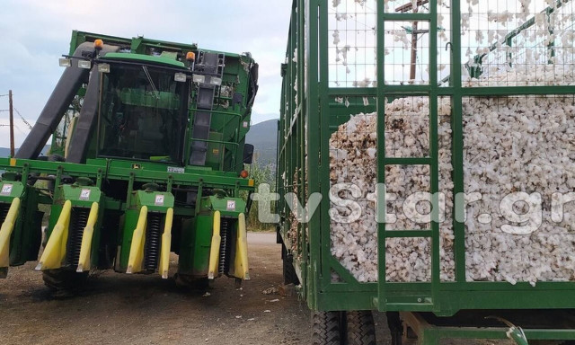 Τραγωδία στη Χαιρώνεια: Νεκρός από ηλεκτροπληξία 45χρονος 